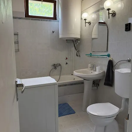 Hajnal Кестхей